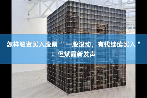 怎样融资买入股票 ＂一股没动，有钱继续买入＂！但斌最新发声