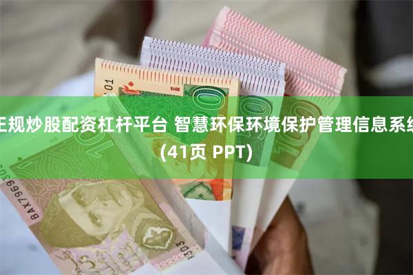 正规炒股配资杠杆平台 智慧环保环境保护管理信息系统(41页 PPT)