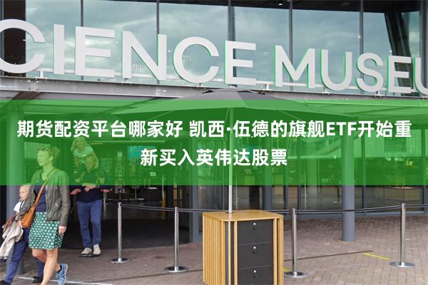 期货配资平台哪家好 凯西·伍德的旗舰ETF开始重新买入英伟达股票