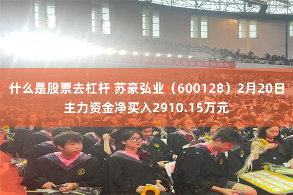 什么是股票去杠杆 苏豪弘业（600128）2月20日主力资金净买入2910.15万元