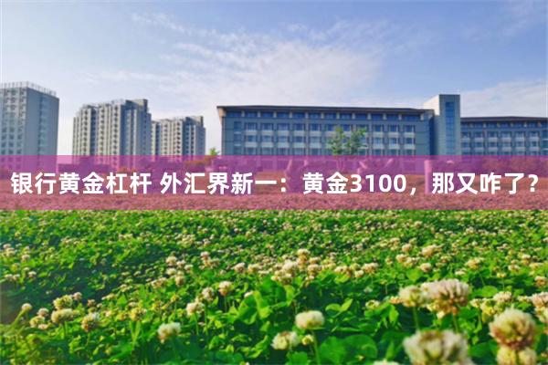 银行黄金杠杆 外汇界新一：黄金3100，那又咋了？