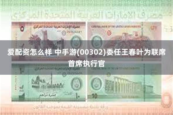 爱配资怎么样 中手游(00302)委任王春叶为联席首席执行官