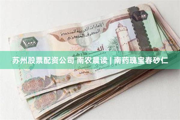 苏州股票配资公司 南农晨读 | 南药瑰宝春砂仁