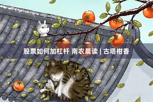 股票如何加杠杆 南农晨读 | 古塔柑香