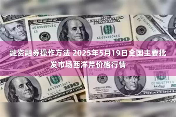 融资融券操作方法 2025年5月19日全国主要批发市场西洋芹价格行情