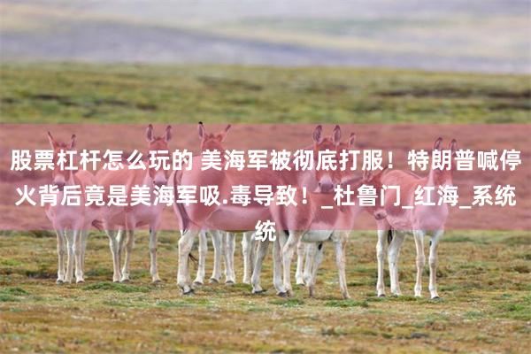 股票杠杆怎么玩的 美海军被彻底打服！特朗普喊停火背后竟是美海军吸.毒导致！_杜鲁门_红海_系统