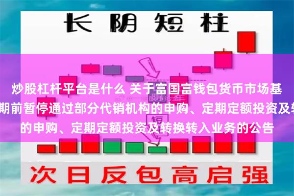 炒股杠杆平台是什么 关于富国富钱包货币市场基金2025年端午节假期前暂停通过部分代销机构的申购、定期定额投资及转换转入业务的公告