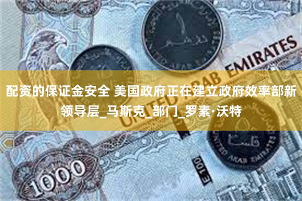 配资的保证金安全 美国政府正在建立政府效率部新领导层_马斯克_部门_罗素·沃特