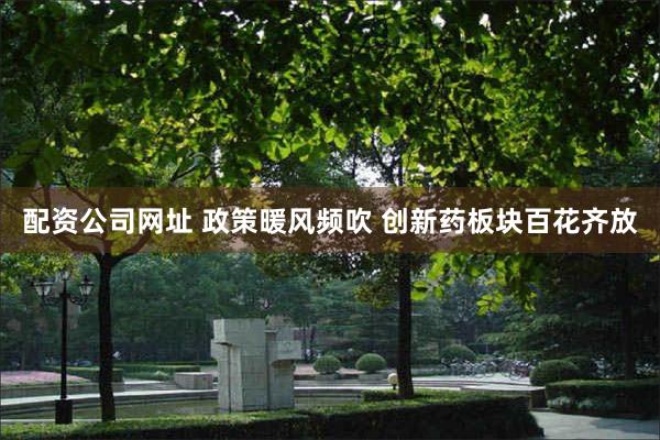 配资公司网址 政策暖风频吹 创新药板块百花齐放