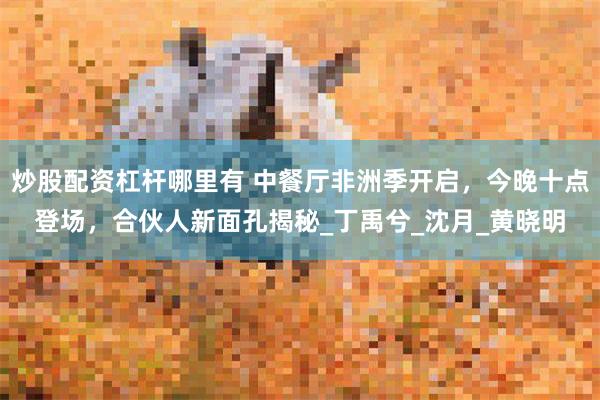 炒股配资杠杆哪里有 中餐厅非洲季开启，今晚十点登场，合伙人新面孔揭秘_丁禹兮_沈月_黄晓明