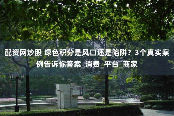 配资网炒股 绿色积分是风口还是陷阱？3个真实案例告诉你答案_消费_平台_商家