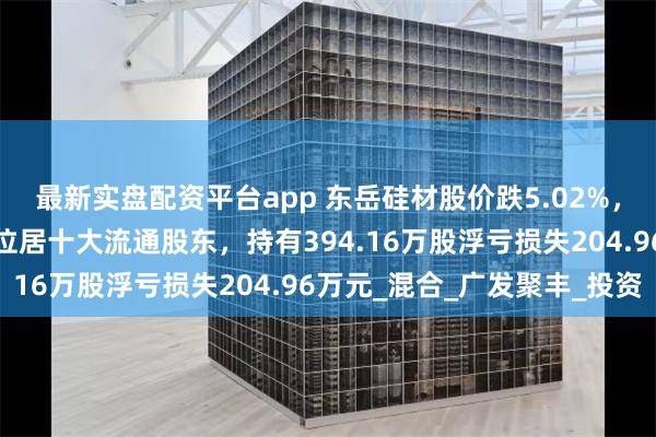 最新实盘配资平台app 东岳硅材股价跌5.02%，广发基金旗下1只基金位居十大流通股东，持有394.16万股浮亏损失204.96万元_混合_广发聚丰_投资