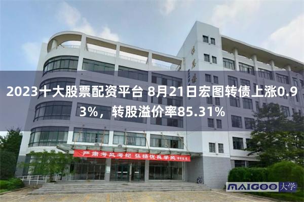 2023十大股票配资平台 8月21日宏图转债上涨0.93%，转股溢价率85.31%