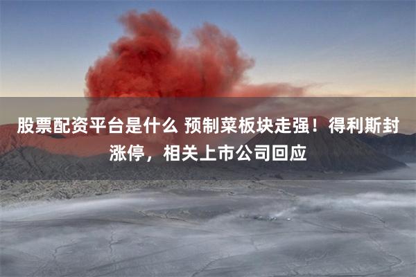 股票配资平台是什么 预制菜板块走强！得利斯封涨停，相关上市公司回应