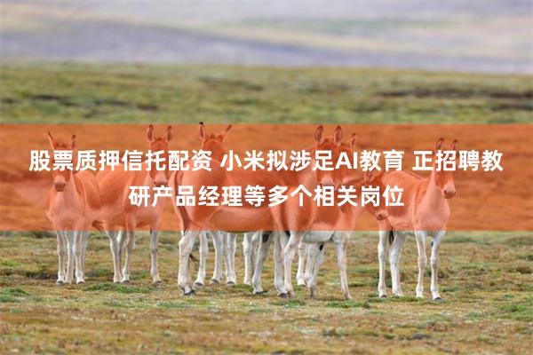 股票质押信托配资 小米拟涉足AI教育 正招聘教研产品经理等多个相关岗位