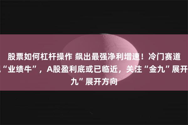 股票如何杠杆操作 飙出最强净利增速！冷门赛道频现“业绩牛”，A股盈利底或已临近，关注“金九”展开方向