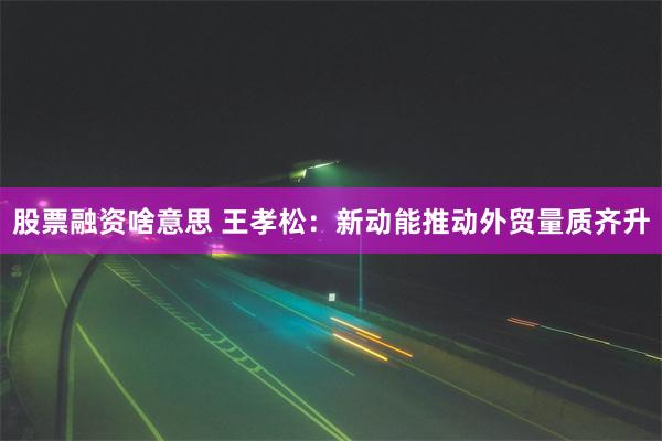 股票融资啥意思 王孝松：新动能推动外贸量质齐升